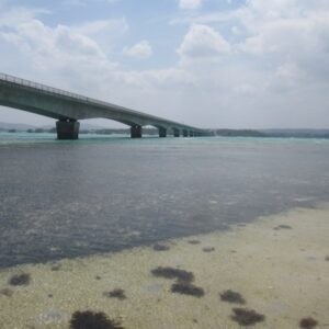 沖縄くいだおれツアー②