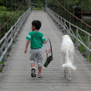 看板犬ベルの休日。