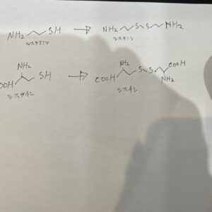 システアミンとシステインの効果