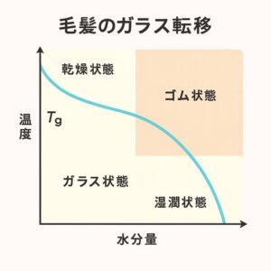 ～ガラス転移（Tg）と処理剤～