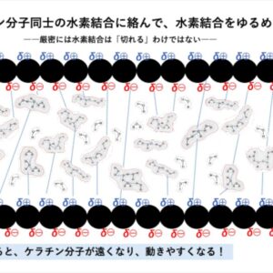 水素結合はなぜ起きるのか？