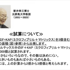 毛髪の太さとミクロフィブリル+マトリックスの数